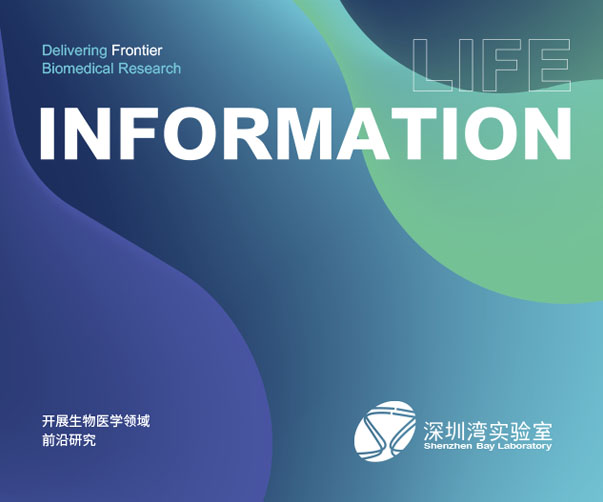 打造專(zhuān)業(yè)品牌名片設(shè)計(jì)，助力上海企業(yè)品牌營(yíng)銷(xiāo)